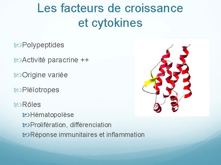 Les facteurs de croissance et cytokines Polypeptides Activité paracrine ++ Origine variée Pléïotropes Rôles