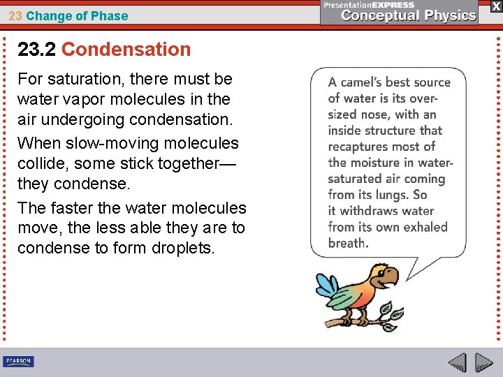 23 Change of Phase 23. 2 Condensation For saturation, there must be water vapor
