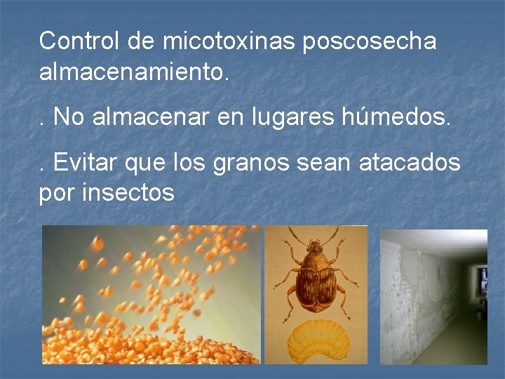 Control de micotoxinas poscosecha almacenamiento. . No almacenar en lugares húmedos. . Evitar que