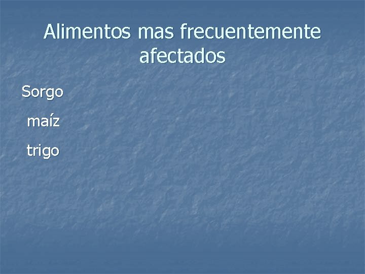 Alimentos mas frecuentemente afectados Sorgo maíz trigo 