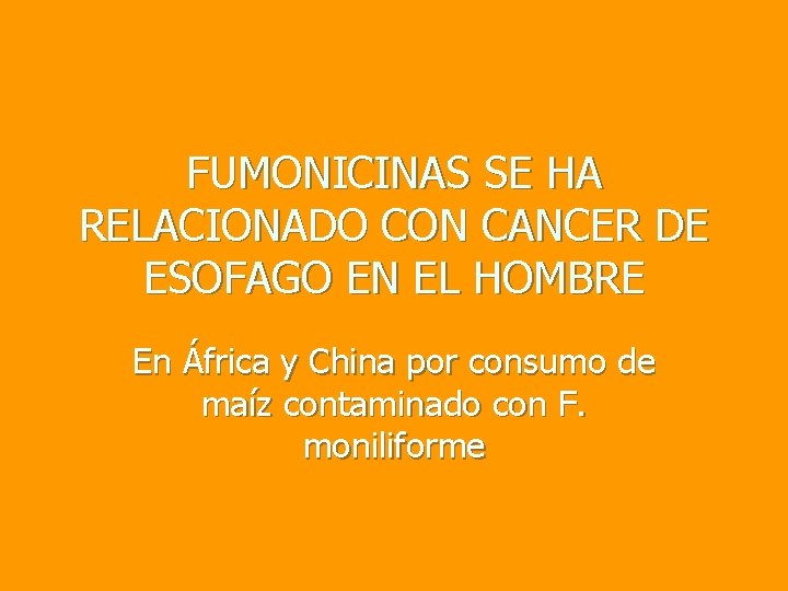 FUMONICINAS SE HA RELACIONADO CON CANCER DE ESOFAGO EN EL HOMBRE En África y