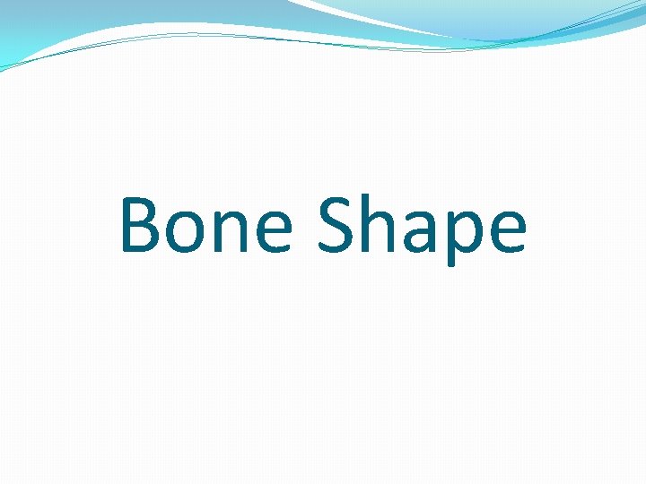 Bone Shape 