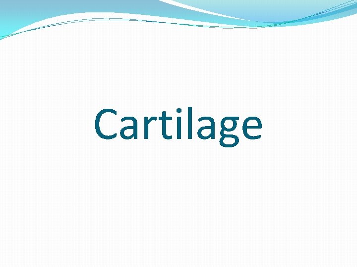 Cartilage 