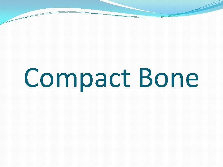 Compact Bone 