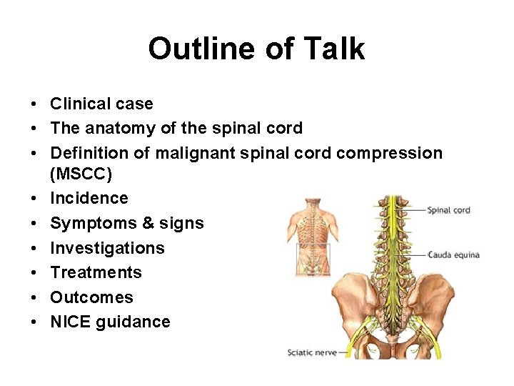 Outline of Talk • Clinical case • The anatomy of the spinal cord •