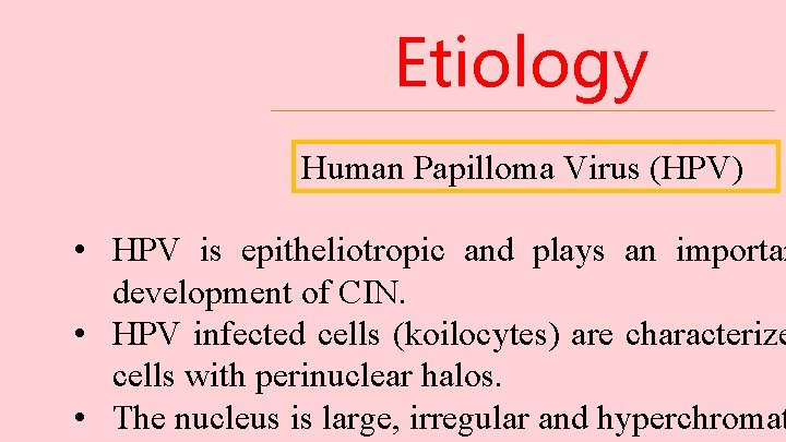 Etiology Human Papilloma Virus (HPV) • HPV is epitheliotropic and plays an importan development