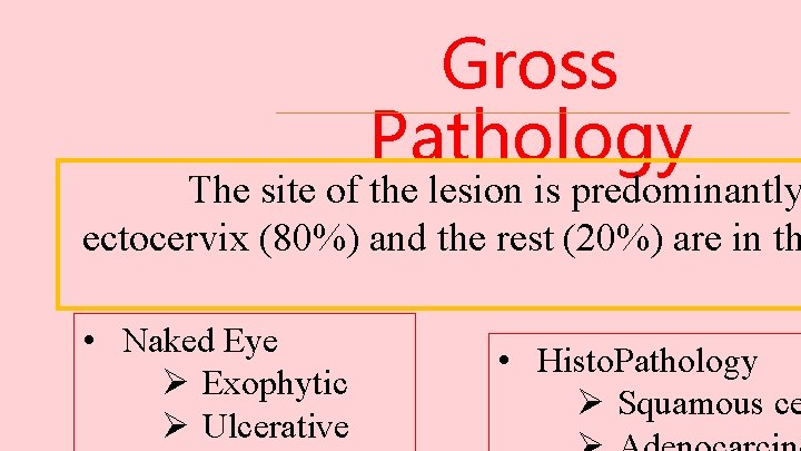 Gross Pathology The site of the lesion is predominantly ectocervix (80%) and the rest