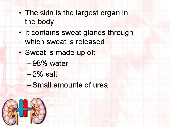  • The skin is the largest organ in the body • It contains