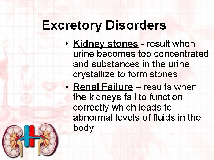 Excretory Disorders • Kidney stones - result when urine becomes too concentrated and substances