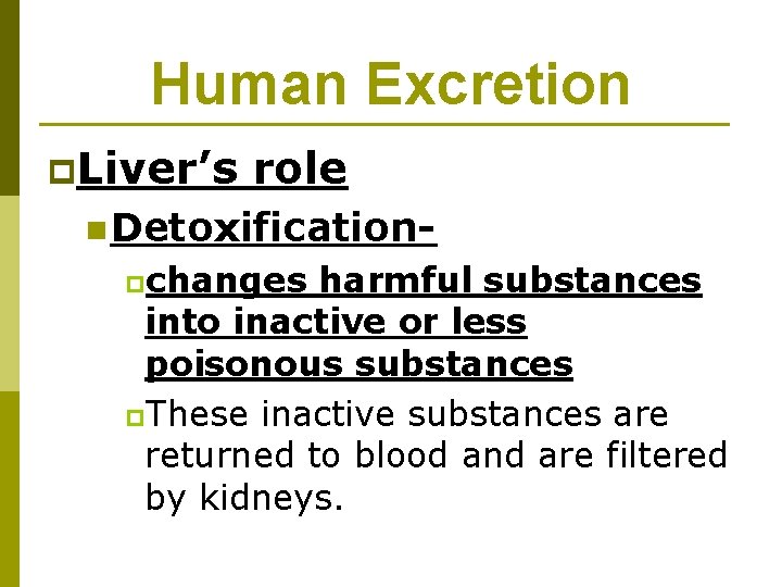 Human Excretion p. Liver’s role n Detoxificationpchanges harmful substances into inactive or less poisonous