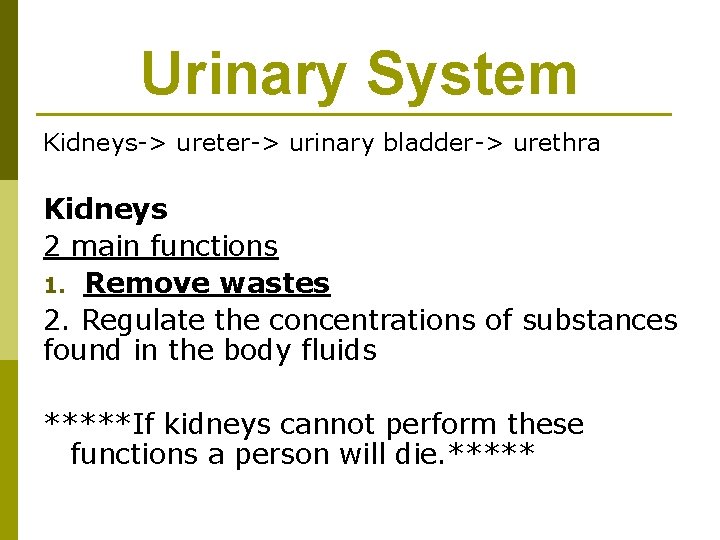 Urinary System Kidneys-> ureter-> urinary bladder-> urethra Kidneys 2 main functions 1. Remove wastes