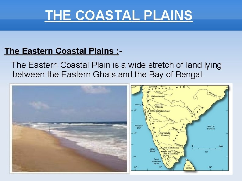 THE COASTAL PLAINS The Eastern Coastal Plains : The Eastern Coastal Plain is a