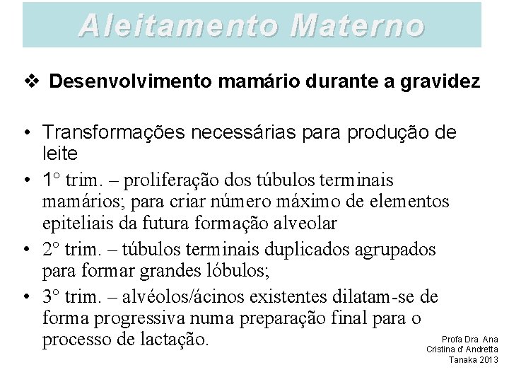 Aleitamento Materno v Desenvolvimento mamário durante a gravidez • Transformações necessárias para produção de
