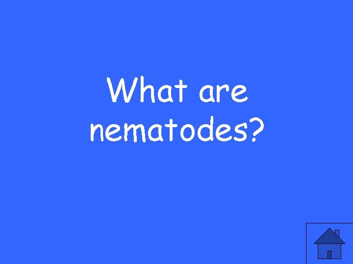 What are nematodes? 