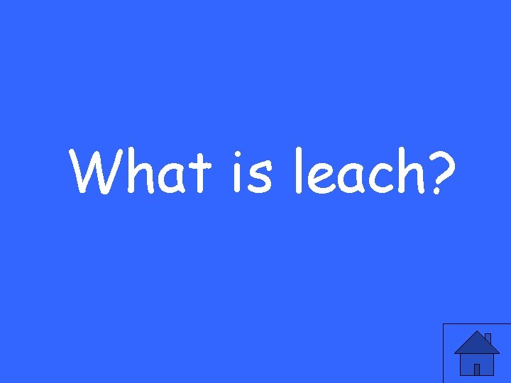 What is leach? 