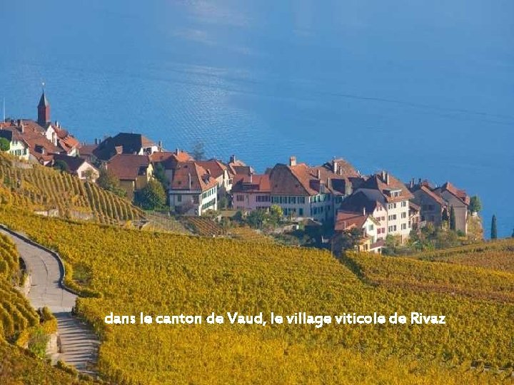 dans le canton de Vaud, le village viticole de Rivaz 