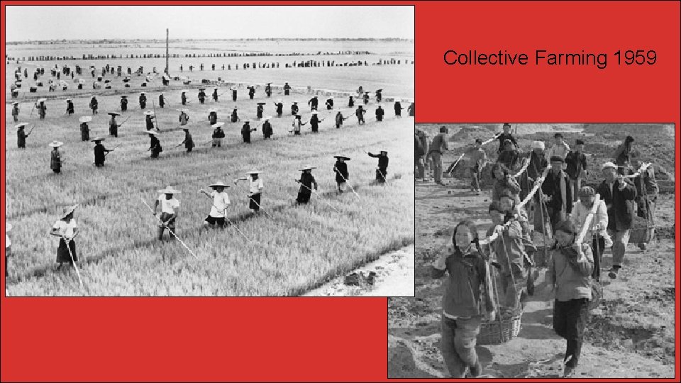 Collective Farming 1959 