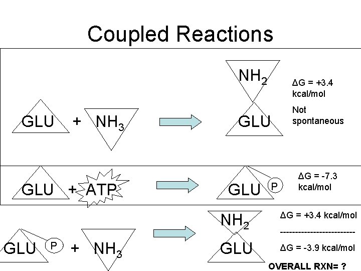 Coupled Reactions NH 2 GLU + NH 3 GLU + ATP GLU P +