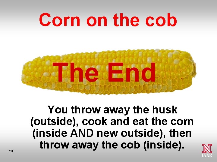 Corn on the cob The End 20 You throw away the husk (outside), cook