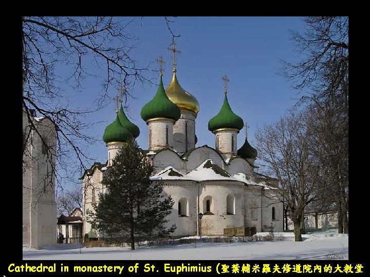 Cathedral in monastery of St. Euphimius (聖葉輔米羅夫修道院內的大教堂 