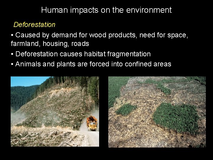 Human impacts on the environment Deforestation • Caused by demand for wood products, need