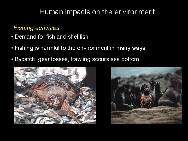 Human impacts on the environment Fishing activities • Demand for fish and shellfish •