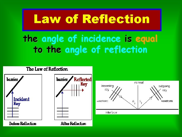 Law of Reflection the angle of incidence is equal to the angle of reflection