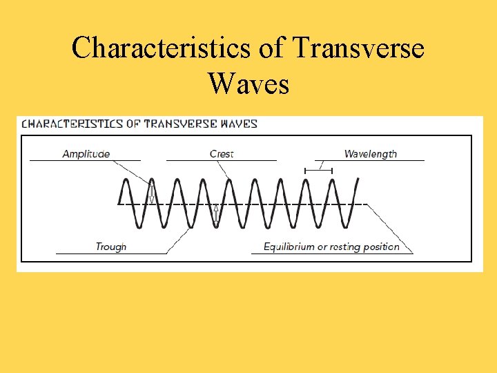 Characteristics of Transverse Waves 