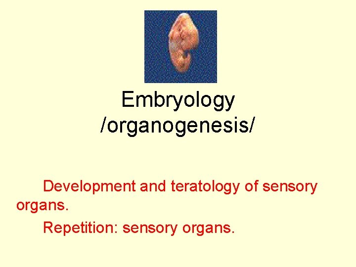 Embryology /organogenesis/ Development and teratology of sensory organs. Repetition: sensory organs. 