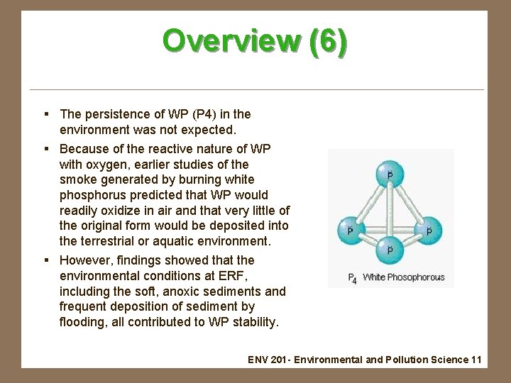 Overview (6) § The persistence of WP (P 4) in the environment was not