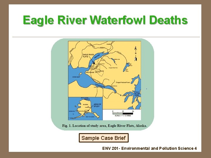 Eagle River Waterfowl Deaths Sample Case Brief ENV 201 - Environmental and Pollution Science