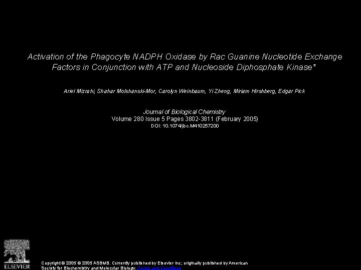 Activation of the Phagocyte NADPH Oxidase by Rac Guanine Nucleotide Exchange Factors in Conjunction