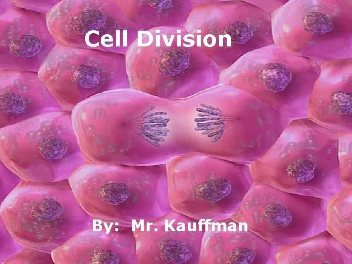Cell Division By: Mr. Kauffman 