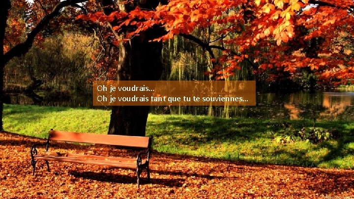 Oh je voudrais… Oh je voudrais tant que tu te souviennes… 