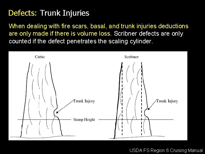 Defects: Trunk Injuries When dealing with fire scars, basal, and trunk injuries deductions are