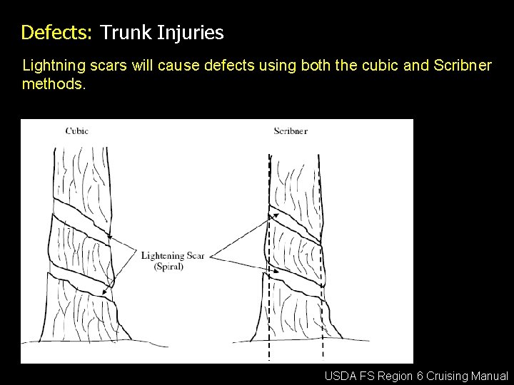 Defects: Trunk Injuries Lightning scars will cause defects using both the cubic and Scribner