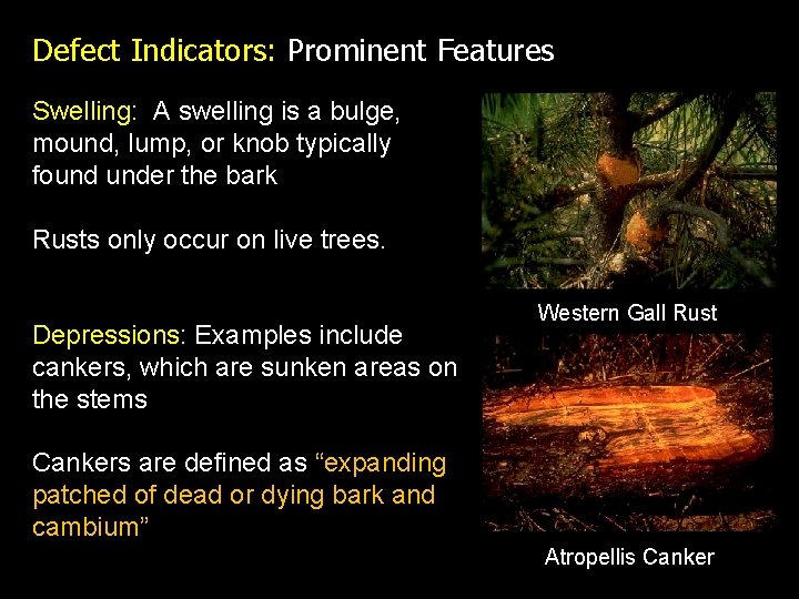 Defect Indicators: Prominent Features Swelling: A swelling is a bulge, mound, lump, or knob