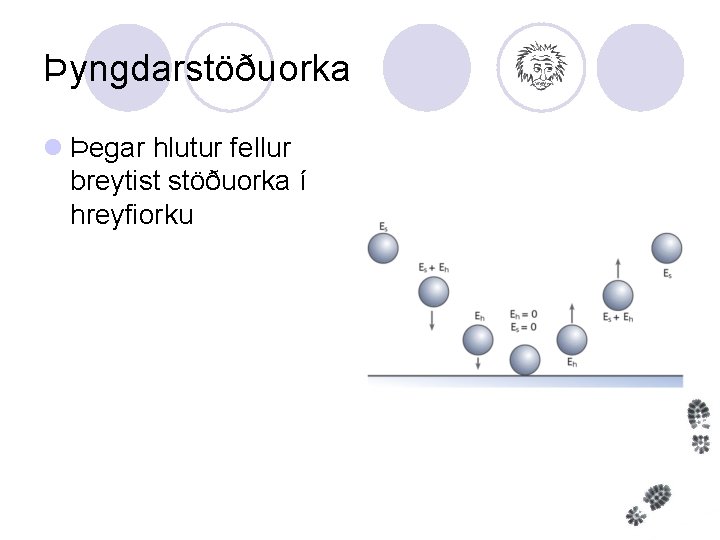 Þyngdarstöðuorka l Þegar hlutur fellur breytist stöðuorka í hreyfiorku 