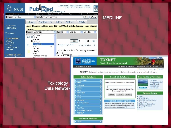 MEDLINE Toxicology Data Network 