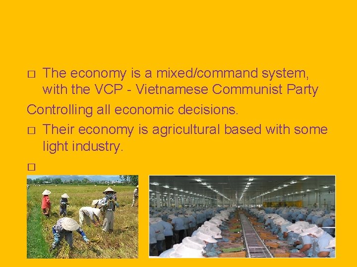 The economy is a mixed/command system, with the VCP - Vietnamese Communist Party Controlling