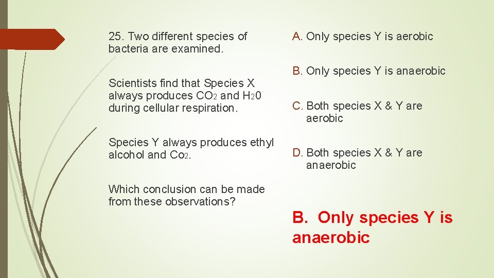 25. Two different species of bacteria are examined. Scientists find that Species X always