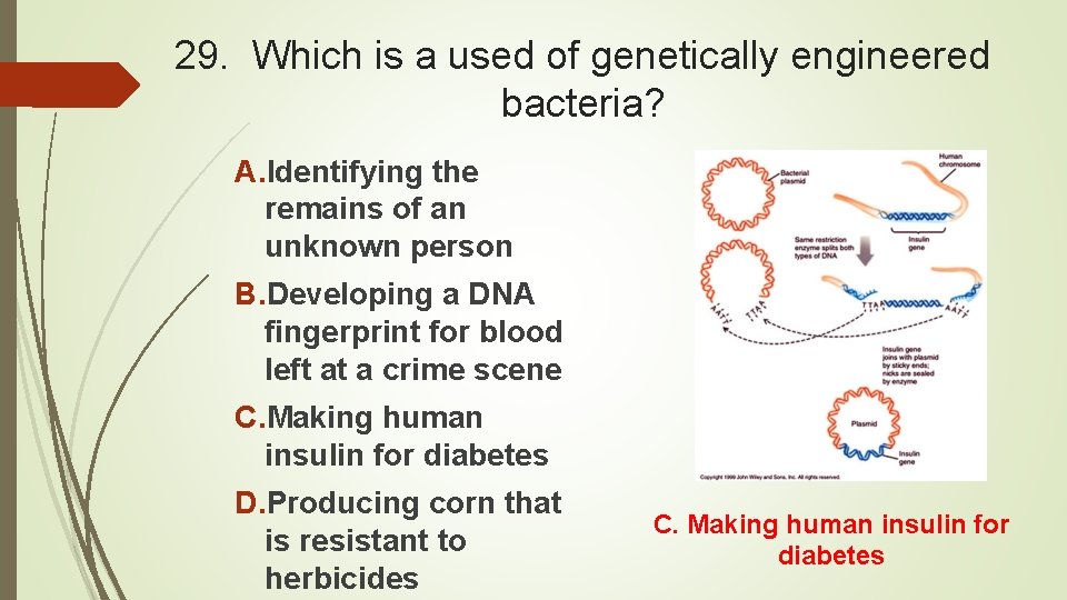 29. Which is a used of genetically engineered bacteria? A. Identifying the remains of