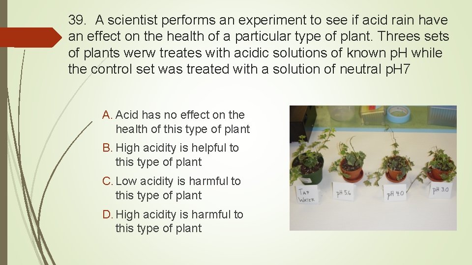 39. A scientist performs an experiment to see if acid rain have an effect