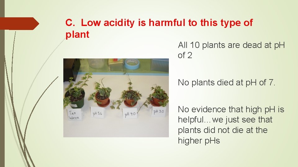C. Low acidity is harmful to this type of plant All 10 plants are