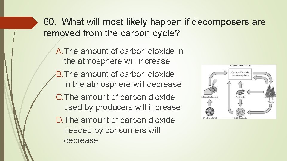 60. What will most likely happen if decomposers are removed from the carbon cycle?