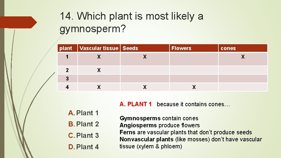 14. Which plant is most likely a gymnosperm? plant Vascular tissue Seeds 1 X
