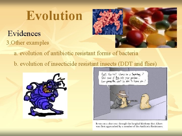 Evolution Evidences 3. Other examples a. evolution of antibiotic resistant forms of bacteria b.