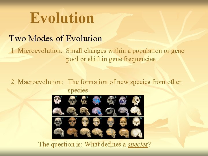 Evolution Two Modes of Evolution 1. Microevolution: Small changes within a population or gene