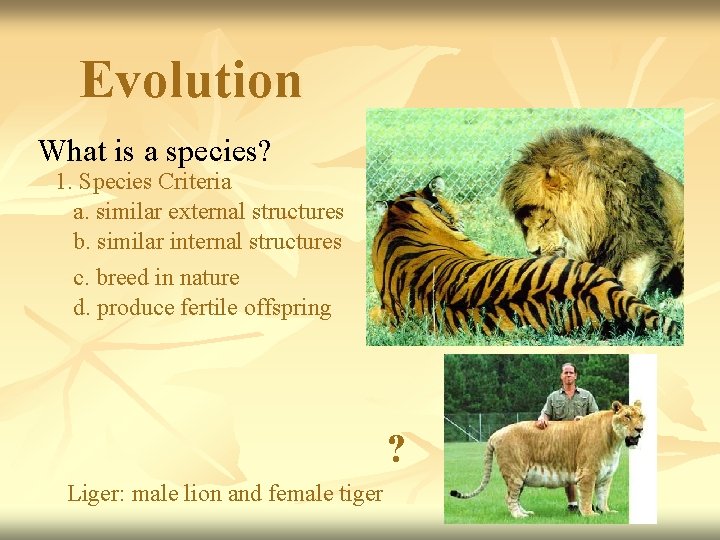 Evolution What is a species? 1. Species Criteria a. similar external structures b. similar