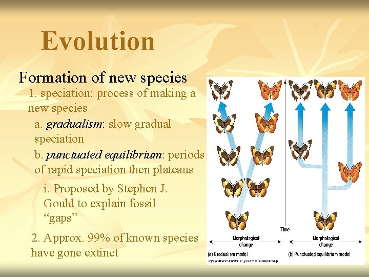 Evolution Formation of new species 1. speciation: process of making a new species a.